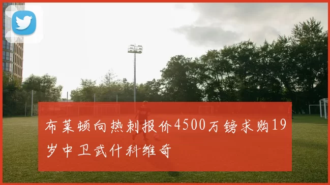 布莱顿向热刺报价4500万镑求购19岁中卫武什科维奇